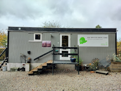 Trold & Tot by Lone Rasmussen - Frisør i Svendborg