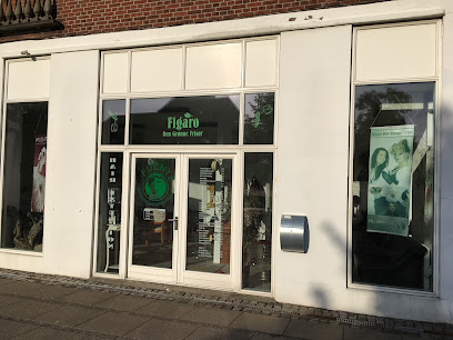 Figaro Den Grønne – Forkæl dit hår!