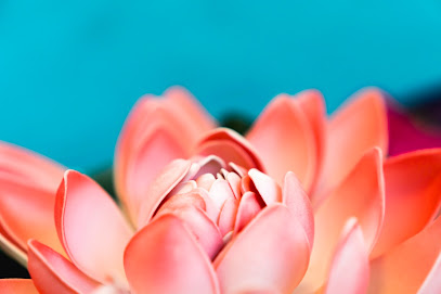 Royal Thai Massage – Oplev ægte thailandsk velvære!