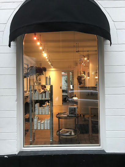 Salon Laila – Frisør i Aarhus C