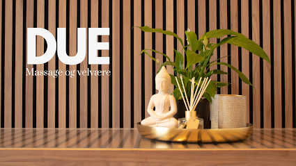 Clinic Due | Massage Frederikssund